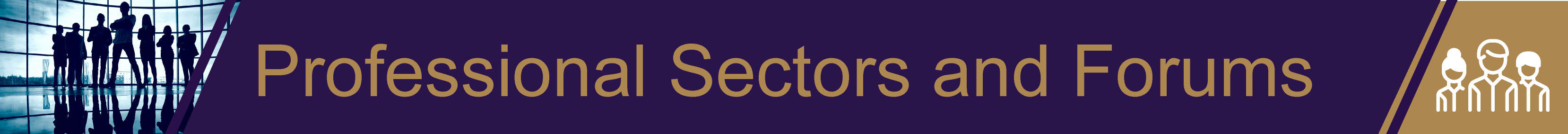 professional-secotr-banner